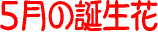5���̒a����