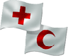 ５月８日　世界赤十字デー