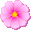 14�@�R�X���X�̓�