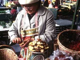 市場でキノコを売る女性 