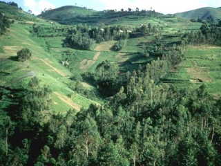 ルワンダの高原地帯