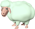 qcWƊC