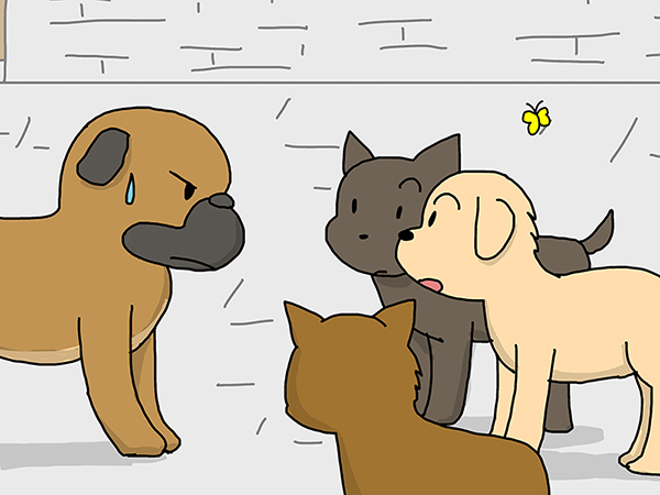 闘犬と普通のイヌ