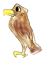 ��ɂ����������V