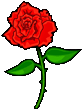 �o���ƃP�C�g�E