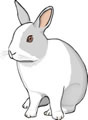 ウサギのツノ