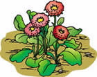 花とお日さま
