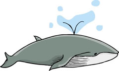 クジラの皮の絵
