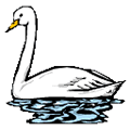 JXƔ