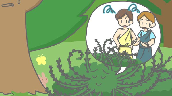 『モミの木とイバラ』(イソップ童話) 13 福娘童話集 イラスト : myi
