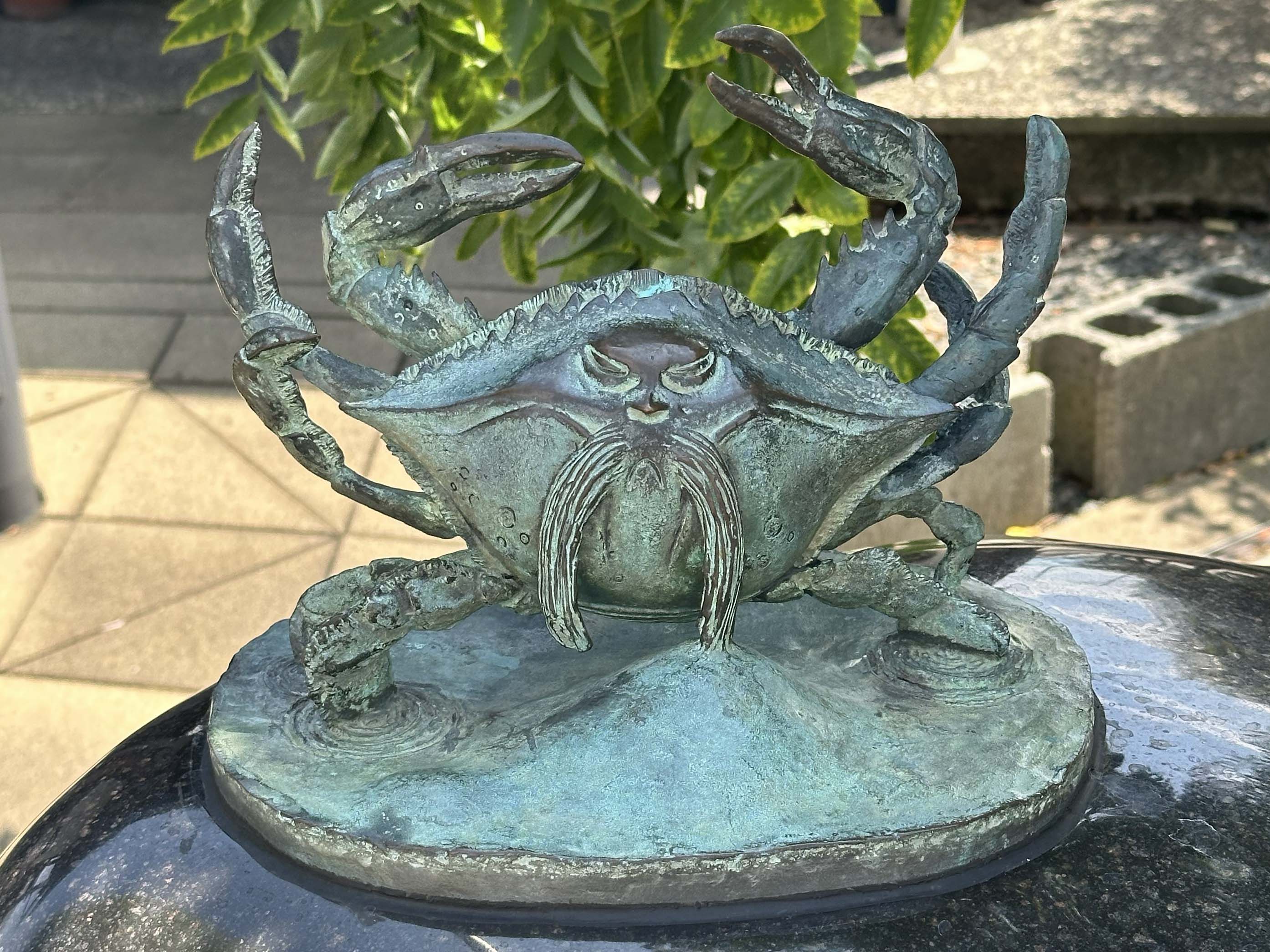 カニ坊主