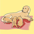 母犬とその子ども