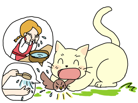 ネコがごはんのあとで顔を洗うわけ