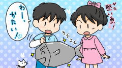 かたい魚は？