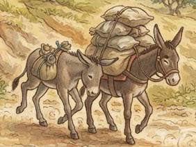 同じ重さの荷物をはこぶロバとラバ