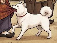 愛犬の神通力